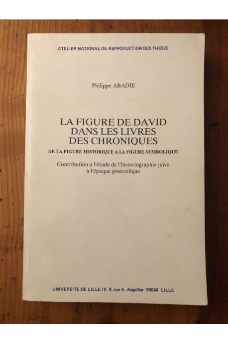 La figure de David dans les livres des chroniques