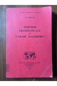 Esquisse grammaticale de l'arabe maghrébin