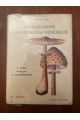 Champignons comestibles et vénéneux, tome II, Atlas